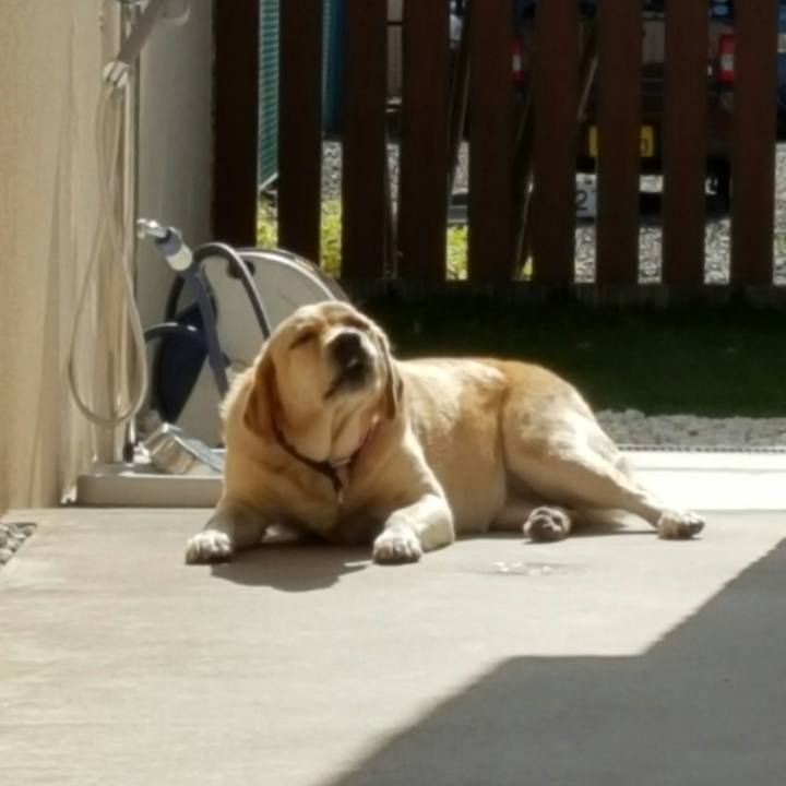 F68f84c6 ab6d 475e bd75 63cfb11e9aa9