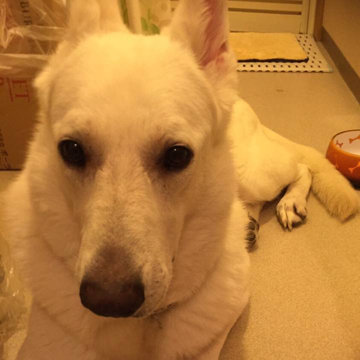 F68fe007 8fb6 4785 a064 35f402a87905