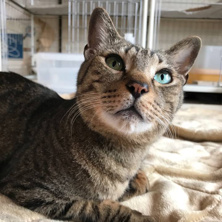 F691cc11 6c42 4714 a566 4321ba7e5447