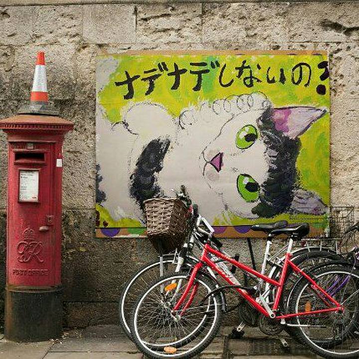 F692fe9f 366f 4031 922c c5e6ef327239