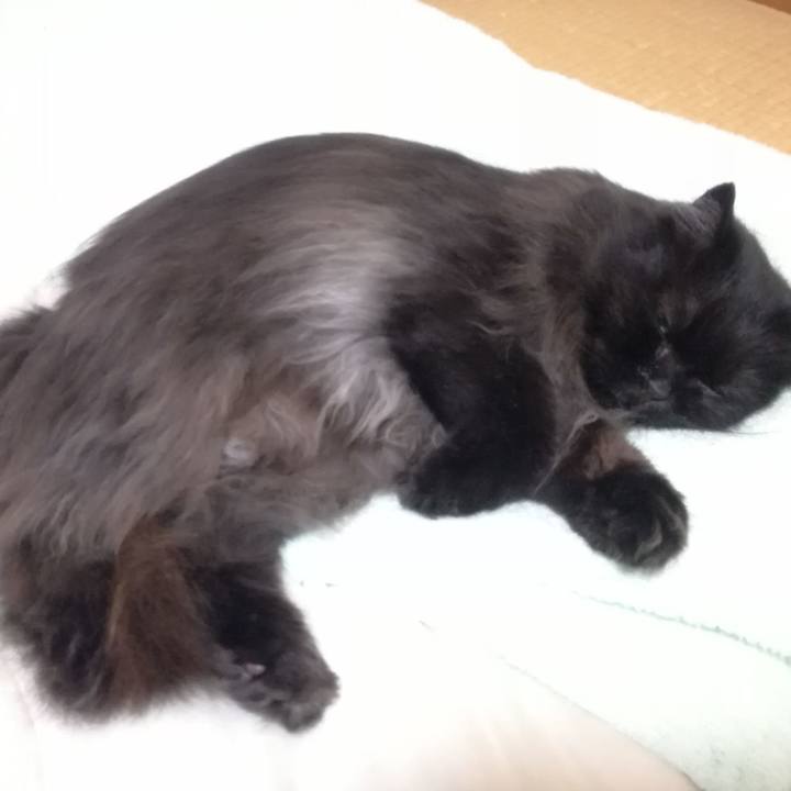 F69328eb bd96 4154 94a7 980f17f56ac9