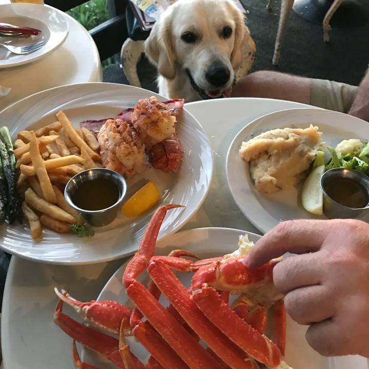 F6933f28 31b8 41fb 80ed 03d748859d3d