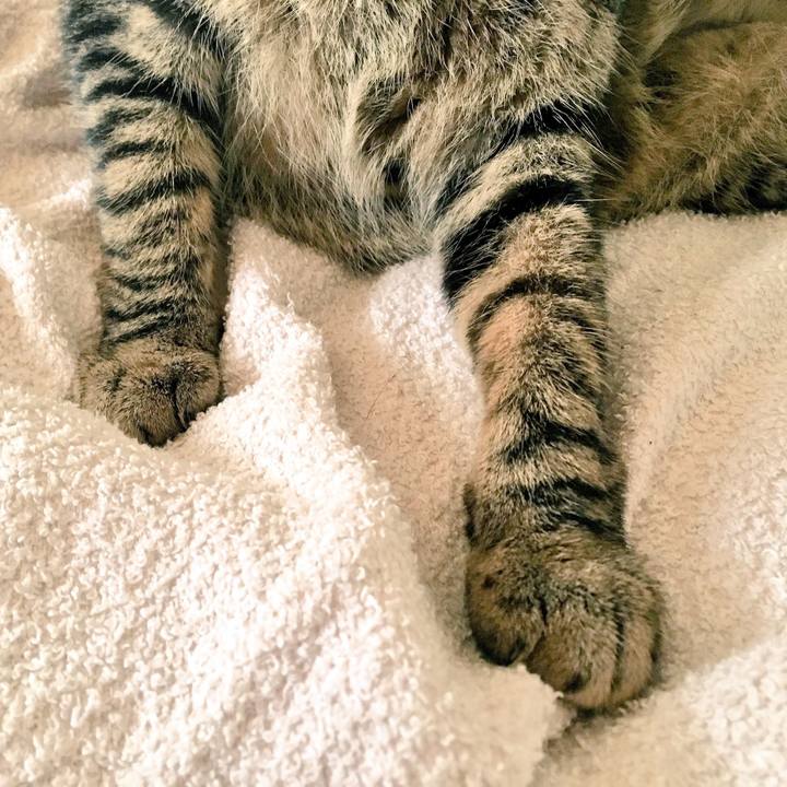 F693778a 7697 4d9a a5bf b854c8a51669