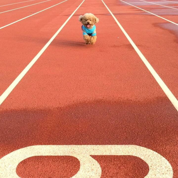 F693b4da 5ac3 421a bc05 fef46d6d7d53