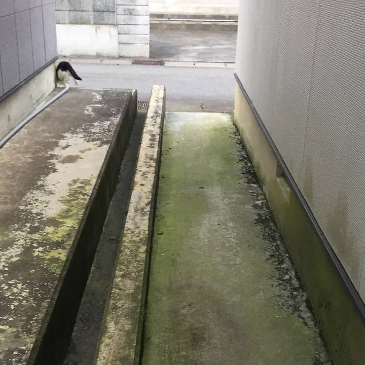 F69497a2 b450 4100 bee8 9850d2a4065f