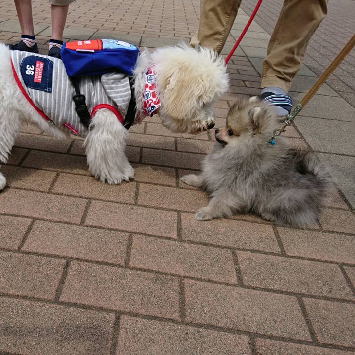 F6955cf7 7c52 4623 af87 ccaf6cfde10c