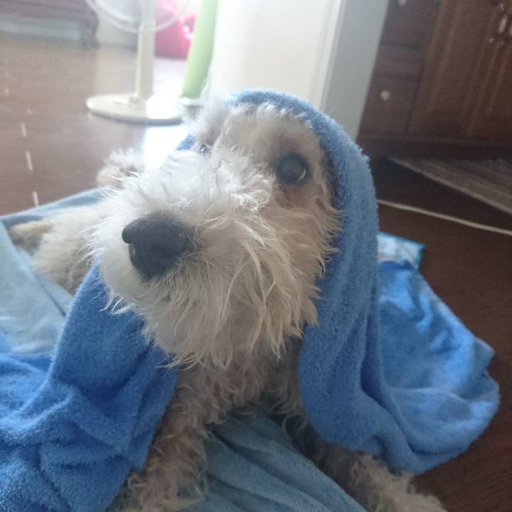 F695853a bd5e 4030 8e2f 6055780087d4