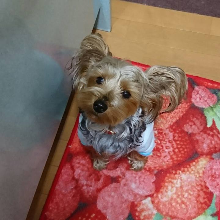 F6968af9 321b 4c23 a711 ee07bd1e0d0a