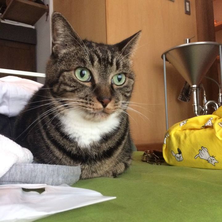 F6969d0a 7a4e 4a85 af4a decec8ab101b