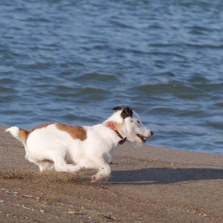 F6969d68 3253 4847 9ab6 5031ab9a9119