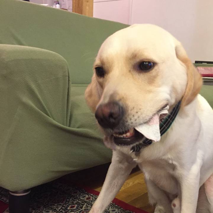 F697a83a e5b5 45d8 aab0 1b8650e6e1fb