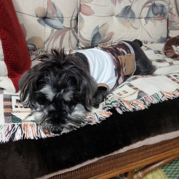 F697ca69 7d72 4562 9f74 6f544d0f749b