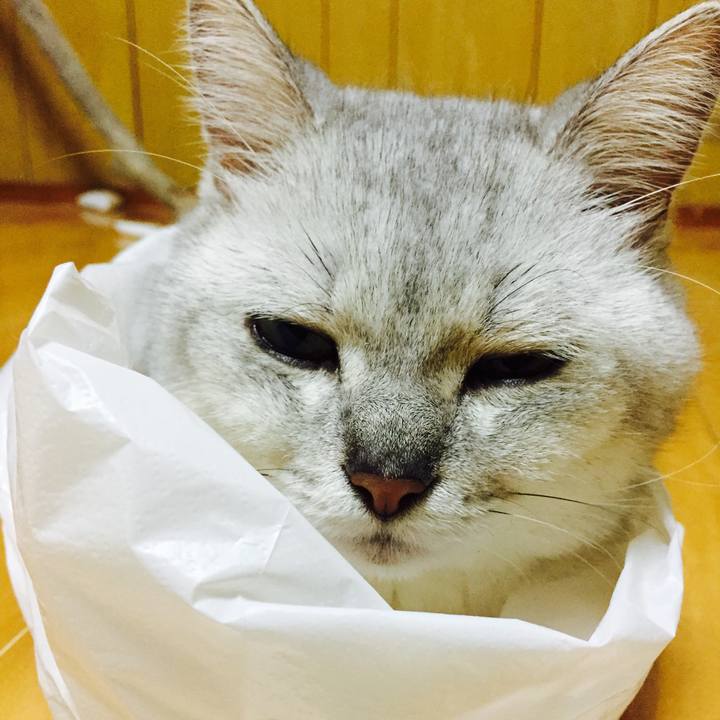 F6983dd5 68b1 42a2 b830 3151c4ce2412