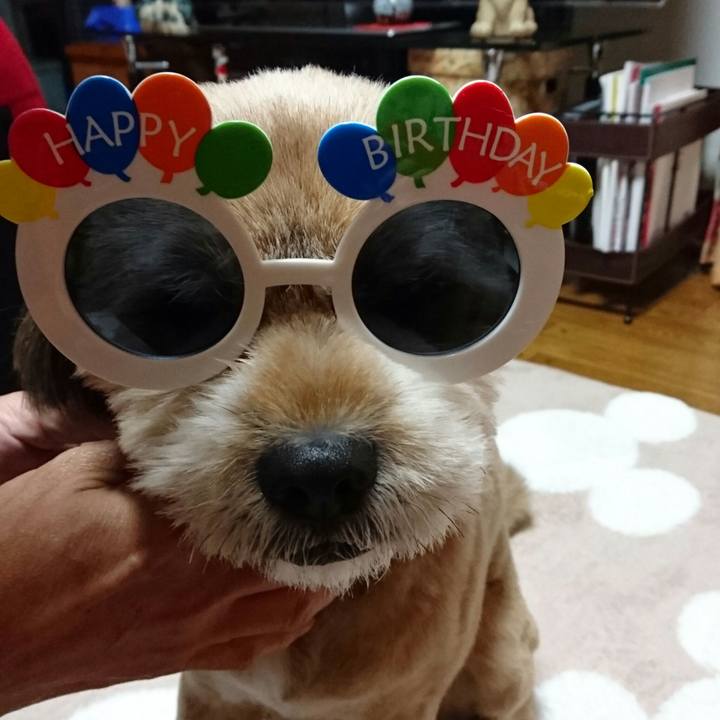 F6988e1e 337a 4f18 b1b1 117790ef4ef3