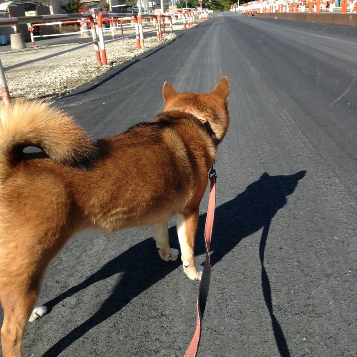 F698b4d3 c905 4354 a346 19acb347a709