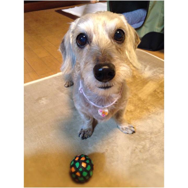 F6994c42 2fa2 4b2b 996f cb944396de8a