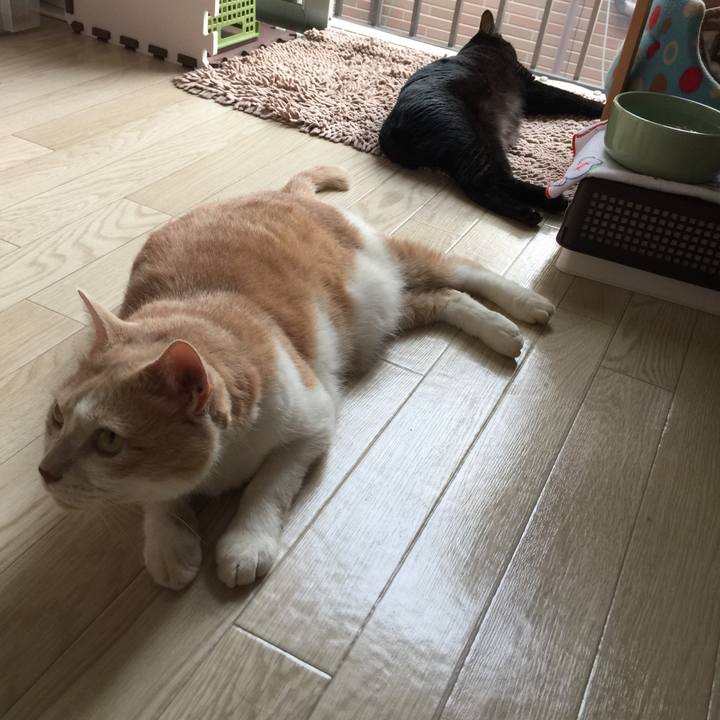 F699555d 8a24 4c75 9e34 4ed445653b5a