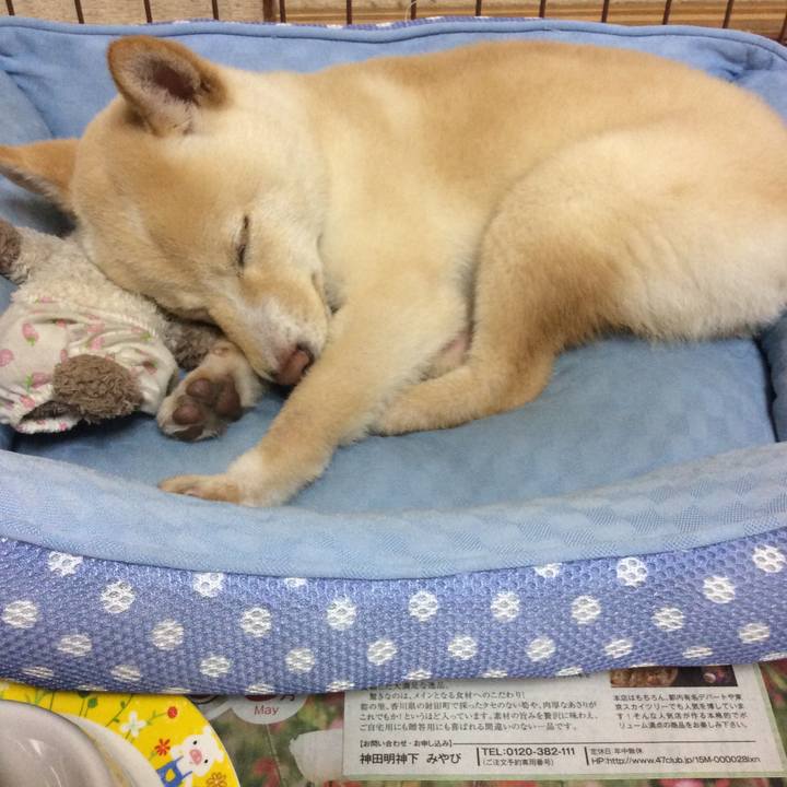 F69a11ff 189b 4366 a160 b04176ed5667