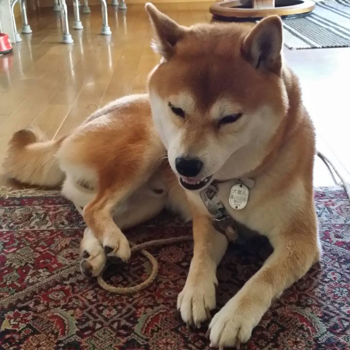 F69b12ed 46af 4f4e a276 a05ad4f401cb