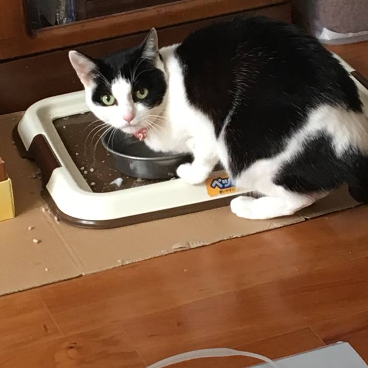 F69b9d07 7e72 4657 8a3c 36d4e0aaa1da