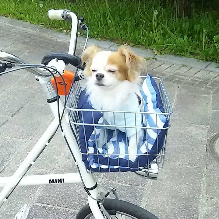 F69c895e 5d59 463e 937d 92f19350ad7f