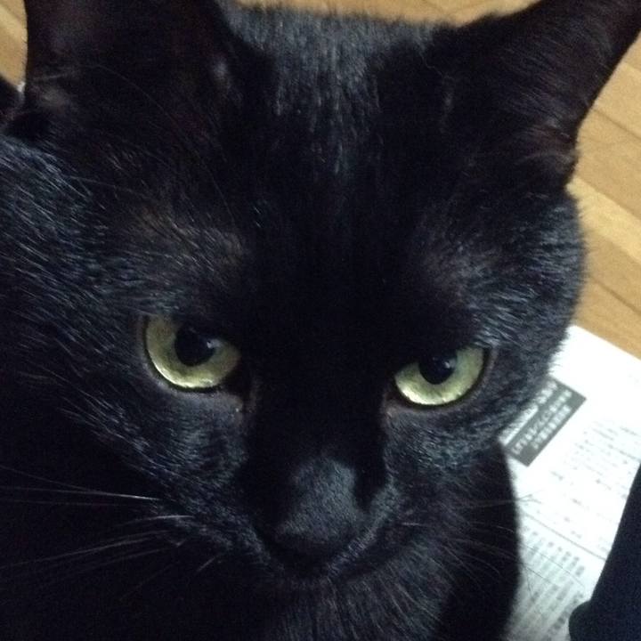 F69d0190 203a 47ea a0c3 ad79977b8b4f