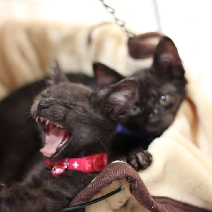 F69d4636 77a5 425b a437 7448f7ee4210