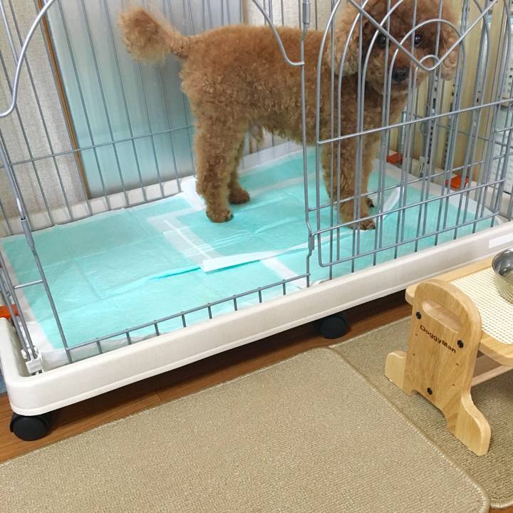 F69dd927 6cf9 4c48 9789 7ec52863ea5a