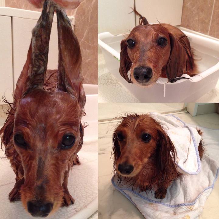 F69de5b4 103e 41fd a762 0d59653d11bf