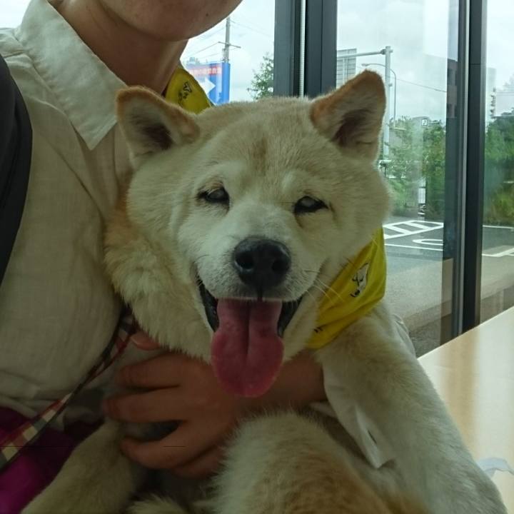 F69df48d 7b89 48f5 bee8 3f798fe8d123