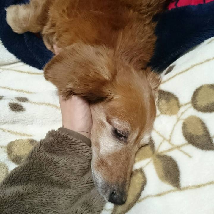 F69df588 1d16 4b35 bb72 2e64d6707ca8