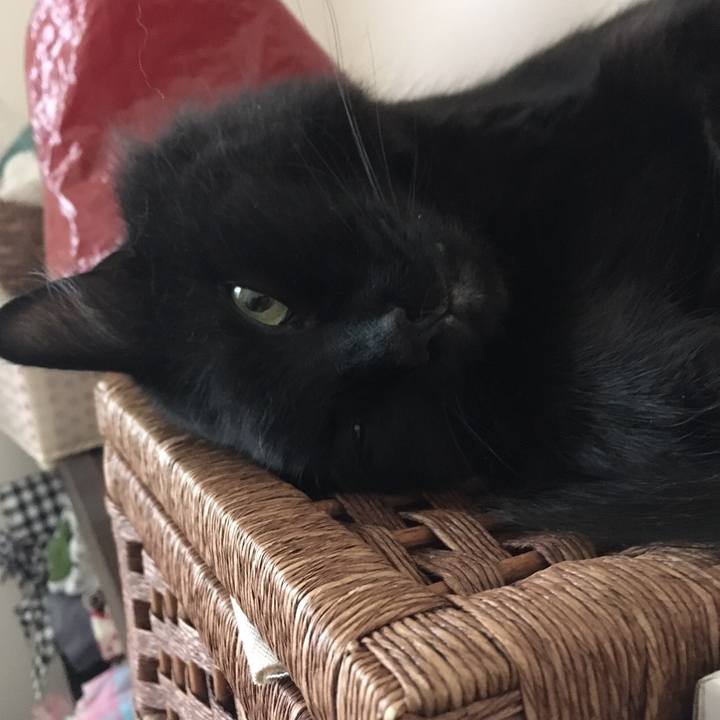 F6a072cc 24b8 4e8e bffa 94287794dd63