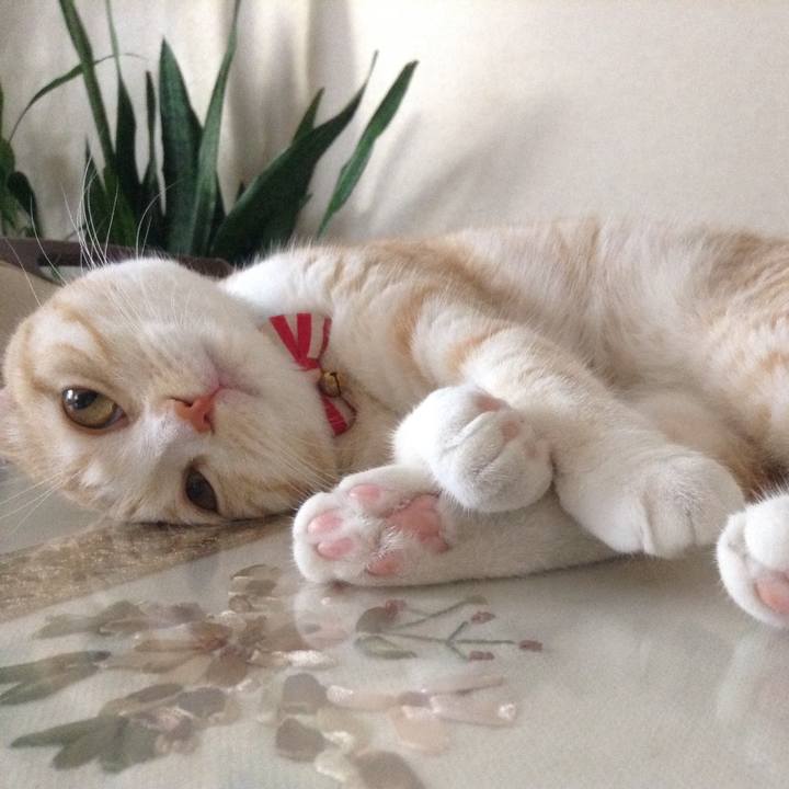 F6a09896 db7e 41bf 9342 13692e780762