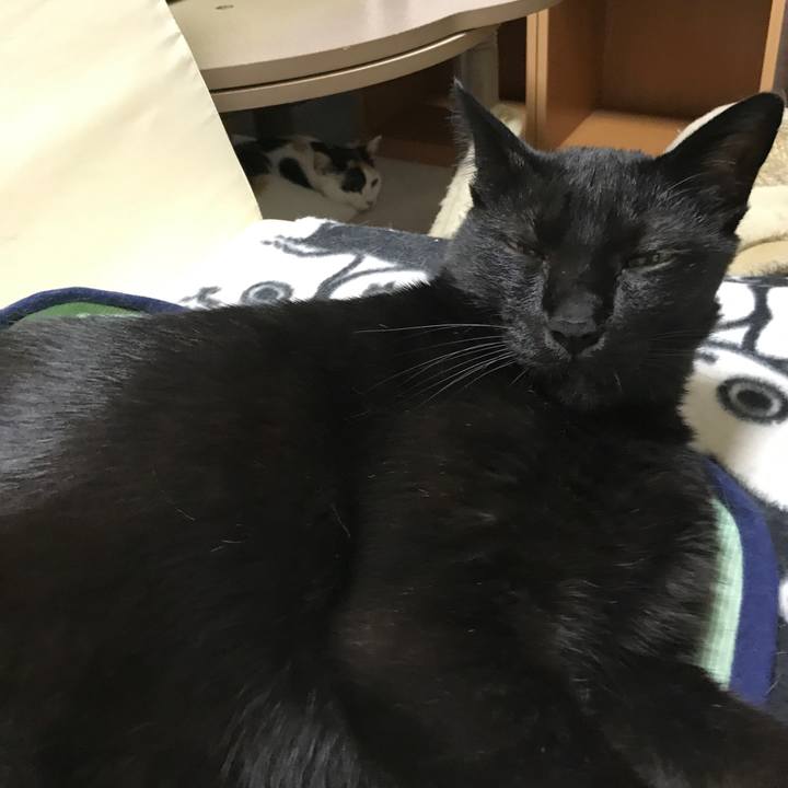 F6a1ea21 ff6c 4643 893c 6dc022e92e71