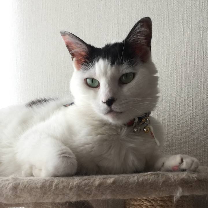 F6a22f15 7524 4b21 8961 6713dcc46fff