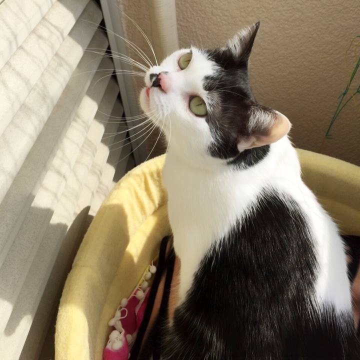 F6a269e8 40b5 442c b2ed 01c6514ab7b5