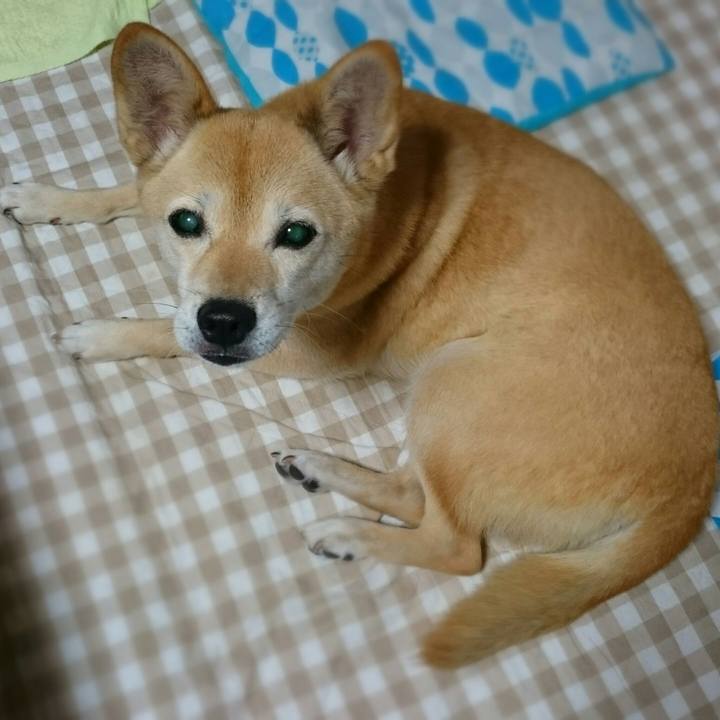 F6a2e375 34d7 4d25 b79a e36dc8a22cf6