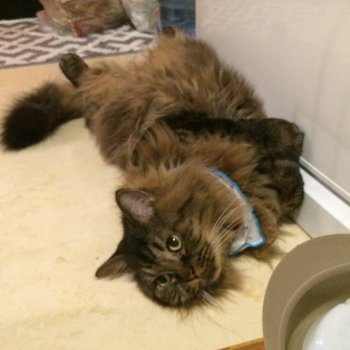 F6a34270 0a99 4246 9ba3 e226d27ae575