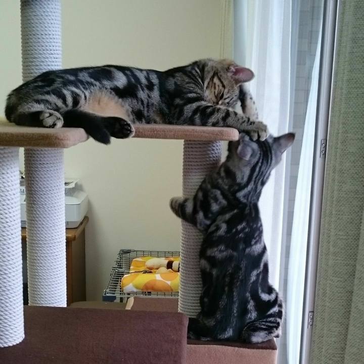 F6a36bde 6a76 43ae a450 cb28fc272235