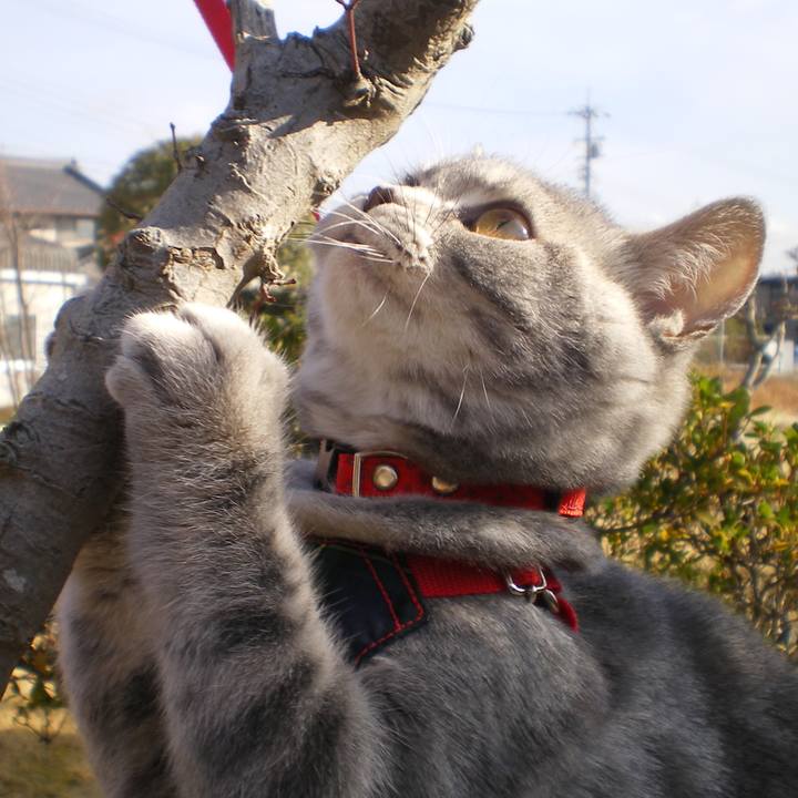 F6a386a8 723a 4368 965f acc89419a172