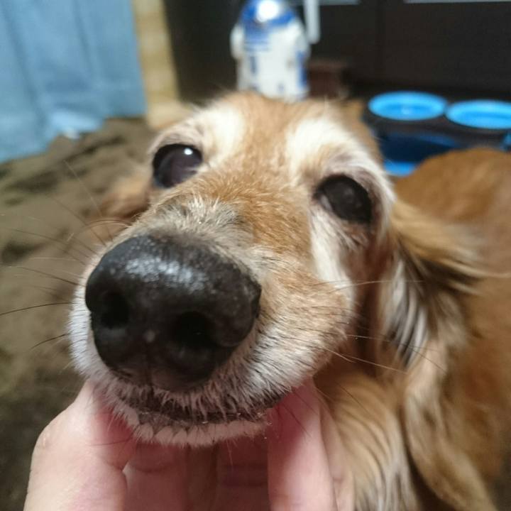 F6a38c74 6fec 47e3 a600 af71dad28b75