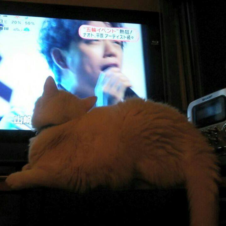 F6a38d00 5f22 4e17 8e8c cde206c29186