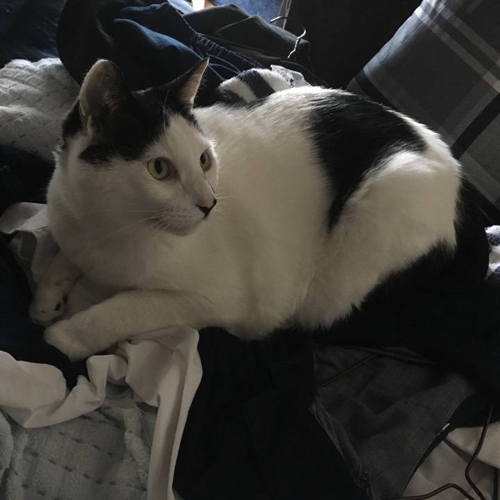 F6a42745 d483 45f7 a674 6bafc708a05a