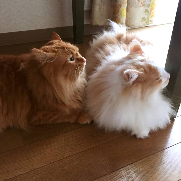 F6a42eda 2c20 4acc be09 363a983ac3d0