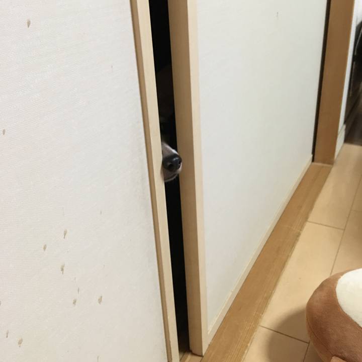 F6a44163 28e3 4b3c ab45 92142446422c