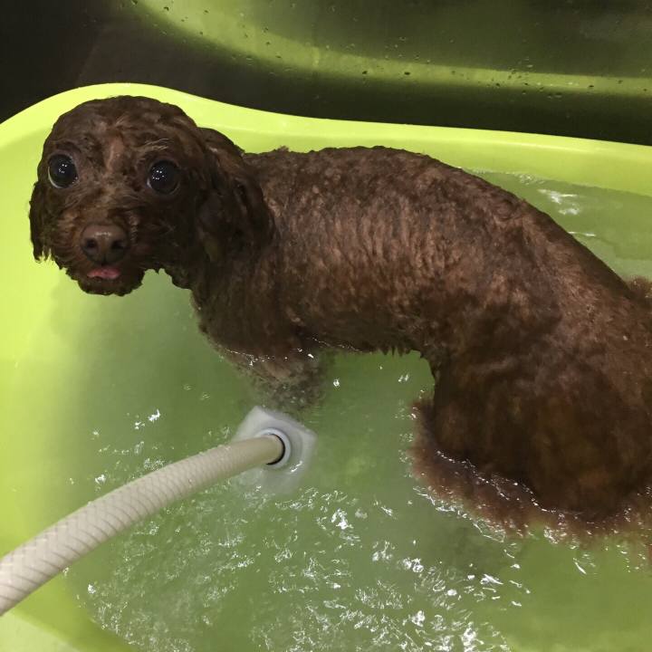 F6a482b6 dd77 4bd1 964a 07dee1a9777c