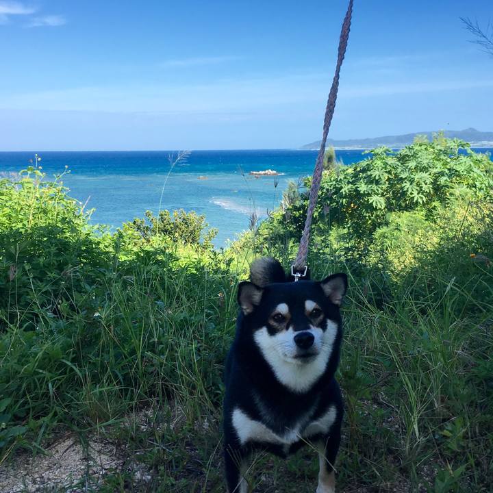 F6a493cf 09ec 4794 b123 fb82d91010a9