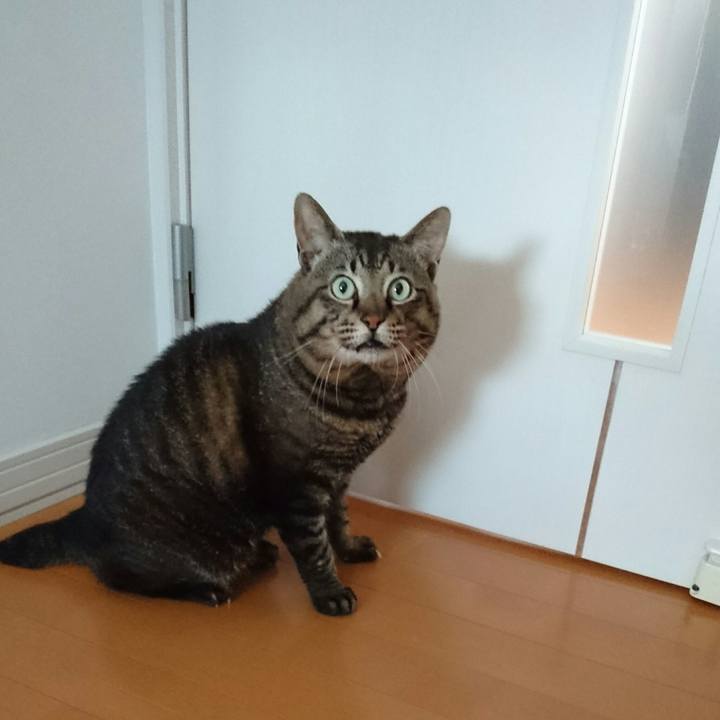 F6a541c2 bc42 44c5 a642 0eac55ef2cba