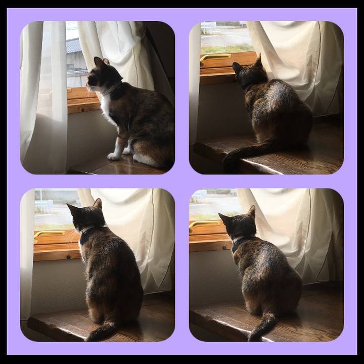 F6a569cd 86d7 4c92 911a 24ab6d2a4495