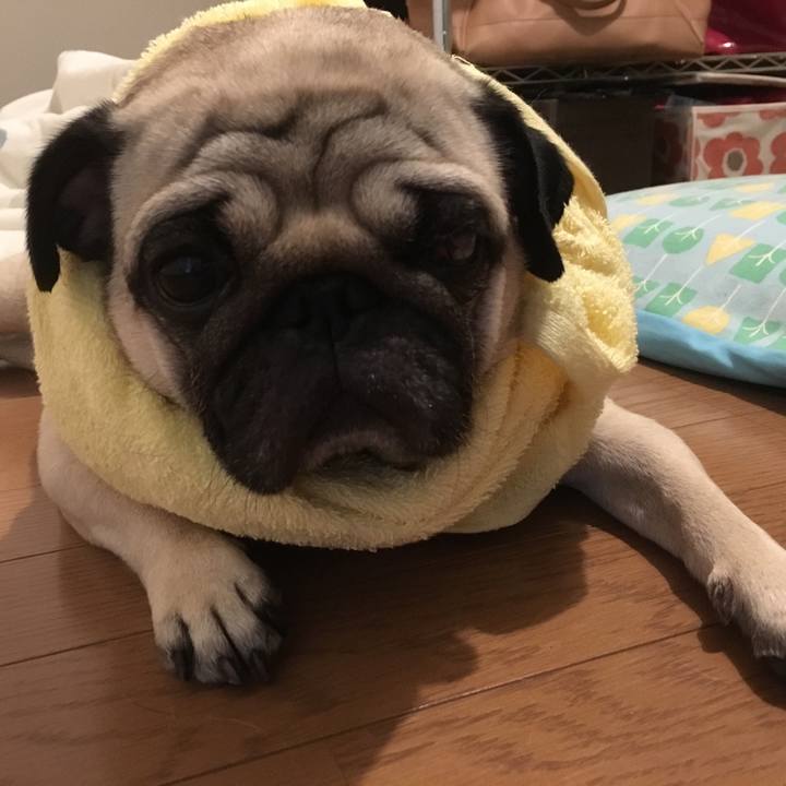 F6a5bafb 7301 4118 88b8 e0e5b78428d3